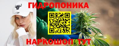 a pvp Пугачёв
