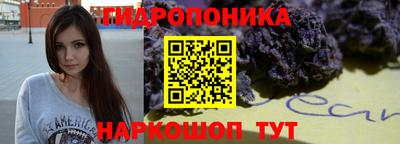 a pvp Пугачёв