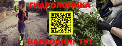 бошки Пыть-Ях