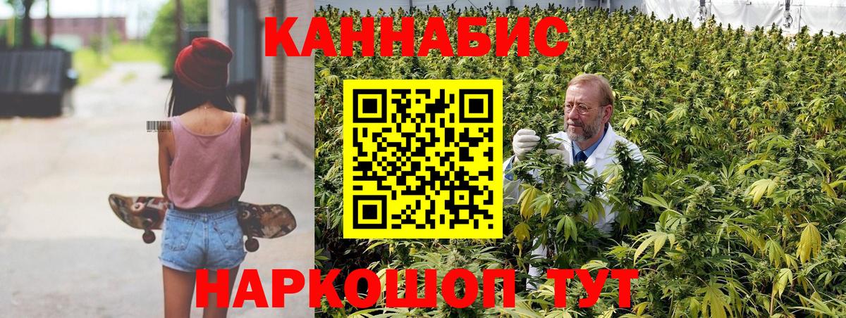 Бошки Шишки планчик Семёнов